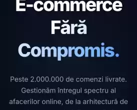 Business Online din 2010 Profit 240000 Euro/an