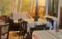 Afacere la cheie de vânzare în Saraiu