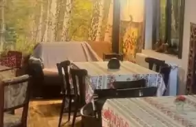 Afacere la cheie de vânzare în Saraiu