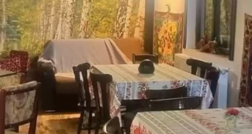 Afacere la cheie de vânzare în Saraiu