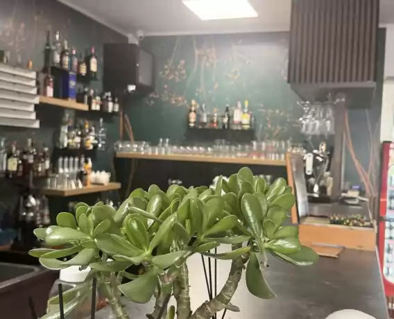 Locație București complet utilată gata de lucru