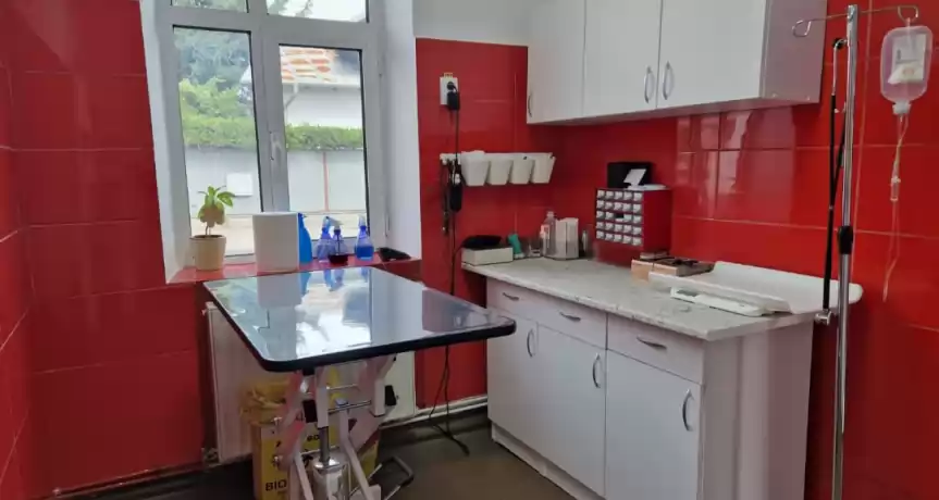 Vand cabinet veterinar afacere la cheie, cu potential
