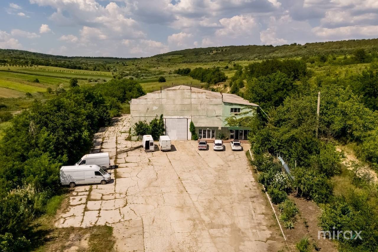 Morarit Afacere de vanzare - Vand afacere de panificație morărit și piscicol ...